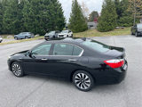 Used 2014 Honda Accord EX-L image 3