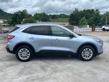 Certified 2022 Ford Escape SE w/ Cold Weather Package image 2