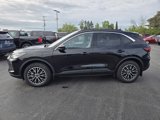 Used 2024 Ford Escape SE image 4