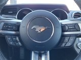 Used 2022 Ford Mustang Convertible w/ Equipment Group 101A image 6