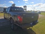 New 2024 Ford F150 STX w/ Mobile Office Package image 5