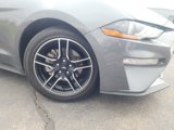 Certified 2021 Ford Mustang Premium w/ Equipment Group 201A image 2