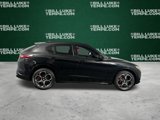 Used 2023 Alfa Romeo Stelvio Veloce image 3
