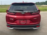 Used 2022 Honda CR-V EX-L image 6