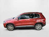 Used 2014 Volkswagen Tiguan SEL image 2