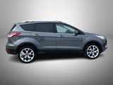 Used 2013 Ford Escape Titanium w/ Parking Technology Pkg image 4