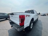 Used 2020 Ford F250 XLT image 6