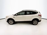 Used 2017 Ford Escape SE w/ Equipment Group 201A image 4