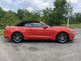 Certified 2016 Ford Mustang Premium image 2