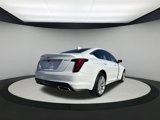 New 2025 Cadillac CT5 Premium Luxury w/ Sun And Sound Package image 5