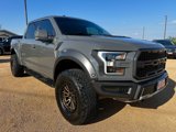 Used 2018 Ford F150 Raptor w/ Equipment Group 802A Luxury image 3
