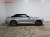 Certified 2022 Ford Mustang Premium image 5