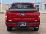 Used 2019 Ford F150 XLT w/ Equipment Group 302A Luxury image 5