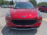 Used 2020 Ford Escape SEL image 2