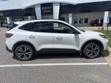 Used 2021 Ford Escape SE w/ SE Sport Appearance Package image 4