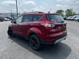 Used 2018 Ford Escape SE w/ SE Sync 3 Package image 4