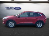 Used 2022 Ford Escape SE image 2