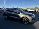 New 2024 Ford Escape Platinum w/ Premium Technology Package image 5