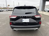 Used 2022 Ford Escape SEL image 4