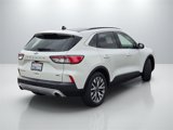 Used 2020 Ford Escape Titanium image 5