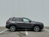 Used 2019 Jeep Cherokee Latitude Plus w/ Cold Weather Group image 6