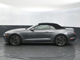 Used 2021 Ford Mustang Premium image 2