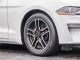 Certified 2020 Ford Mustang Premium image 2