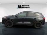 Used 2022 Ford Escape SE w/ Convenience Package image 6