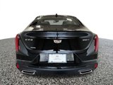 New 2025 Cadillac CT4 Premium Luxury image 4