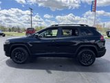 Used 2023 Jeep Cherokee Altitude Lux image 4