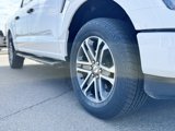 Used 2023 Ford F150 XL w/ STX Appearance Package image 2