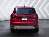 Used 2019 Ford Escape Titanium image 3