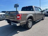 Certified 2019 Ford F150 XLT w/ Equipment Group 302A Luxury image 6