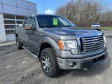 Used 2012 Ford F150 XLT w/ XLT Chrome Pkg image 5