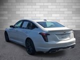 Used 2023 Cadillac CT5 Sport w/ Platinum Package image 3