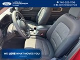 Used 2023 Ford Bronco Sport Big Bend image 4