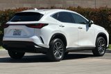 Certified 2024 Lexus NX 250 FWD image 4