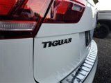 Used 2019 Volkswagen Tiguan S image 5