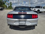 Used 2019 Ford Mustang Premium image 4