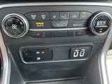 Used 2019 Ford EcoSport SE image 6