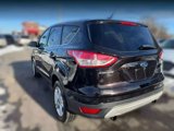 Used 2013 Ford Escape SE image 4