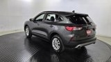 Used 2020 Ford Escape SE image 5