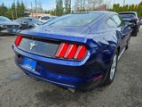 Used 2015 Ford Mustang Coupe image 4