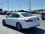 Used 2013 Honda Accord Sport image 5