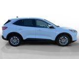Certified 2022 Ford Escape SE image 6