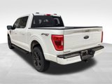 Used 2021 Ford F150 XLT w/ Equipment Group 302A High image 4