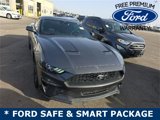 Used 2021 Ford Mustang Coupe w/ Equipment Group 101A image 4