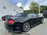 Used 2015 Ford Mustang Premium image 5