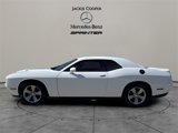 Used 2019 Dodge Challenger SXT image 2