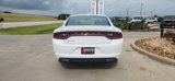 Used 2023 Dodge Charger SXT image 6